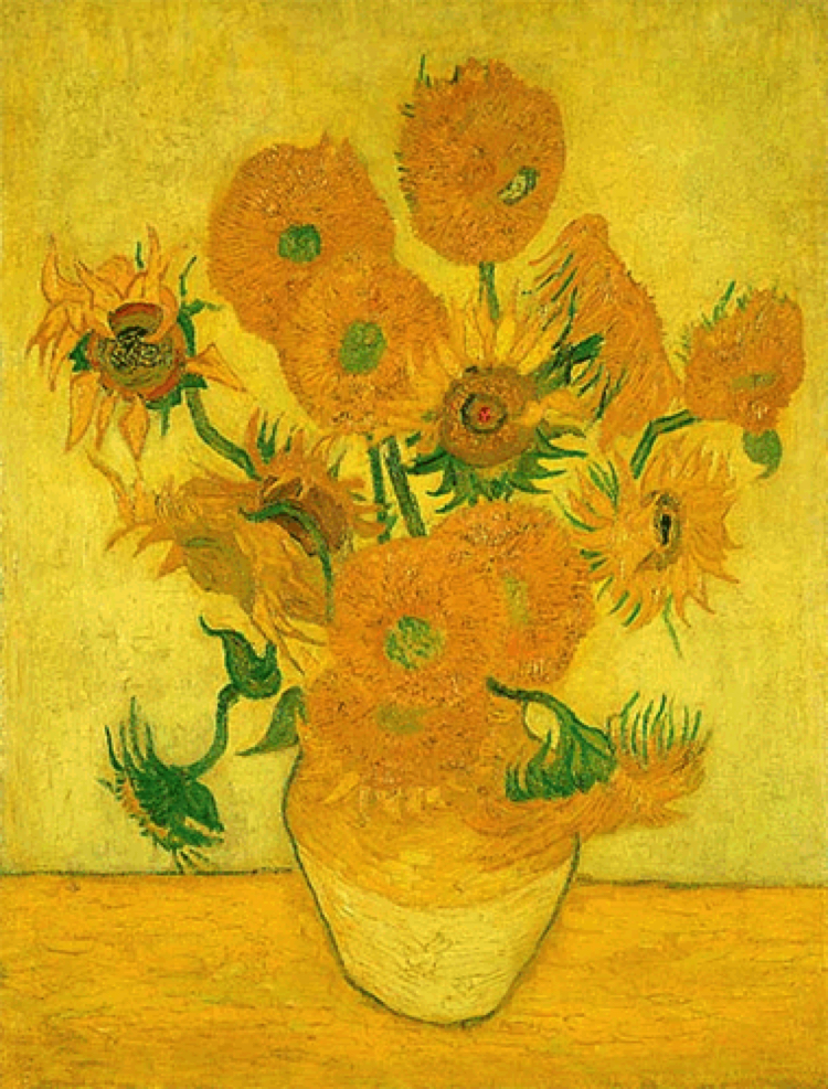 The Gorgeous sunflower artwork by Vincent van Gogh. There were many in this series, many of which, when examined under an X-ray show van Gogh’s process of incessantly repainting over mistakes until he achieved perfection.