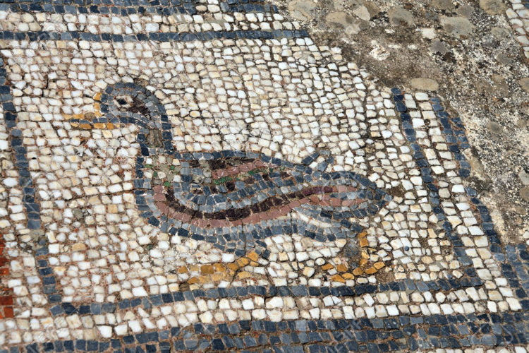 Ancient Greek duck floor mosaic artwork excavated from the city of Ephesus, Turkey