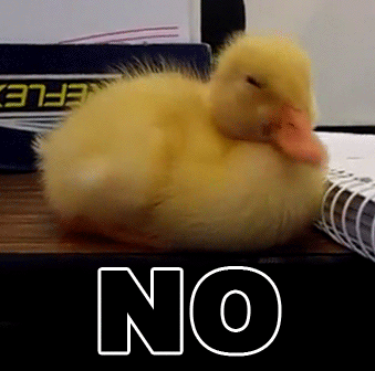 No means no duck meme