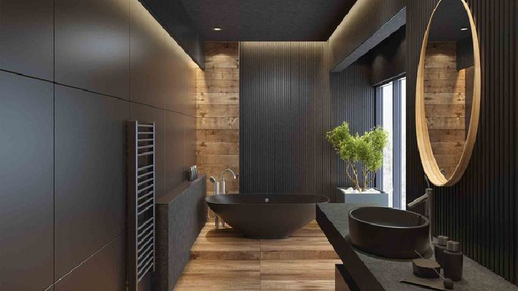 Dark minimalist with a beautiful zen interiors