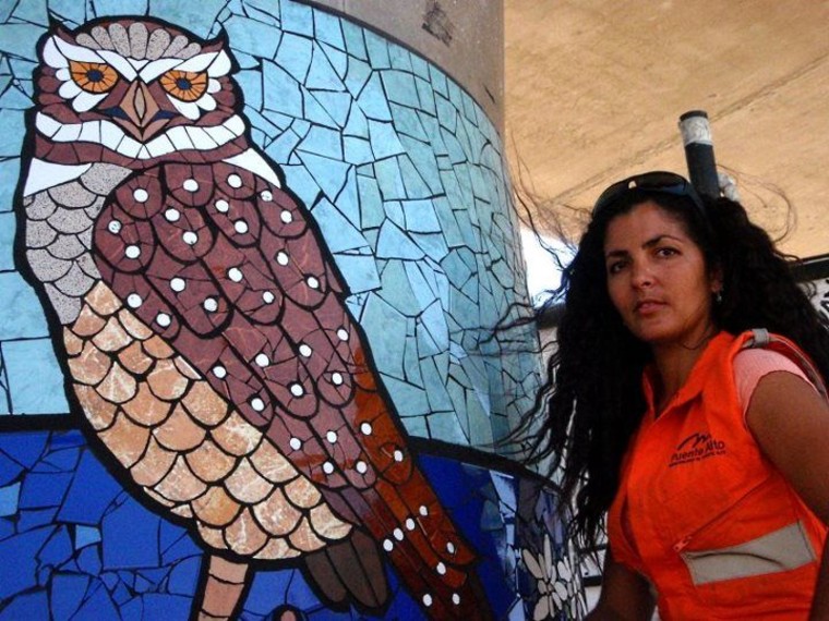 Owl Mosaic Artwork Mural mosaic