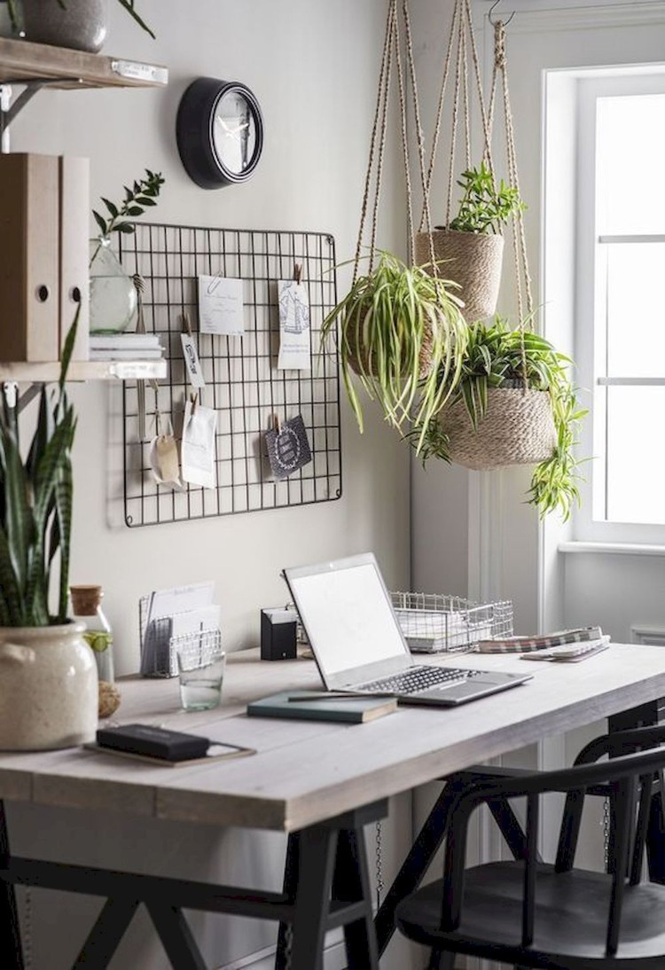 Gorgeous home office plants that make a lively space. 