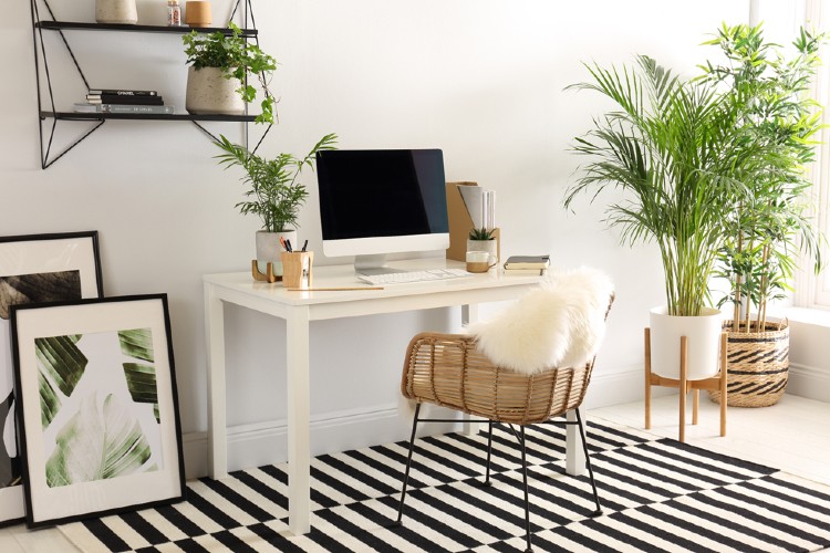 Lush greenery make a gorgeous office space. 