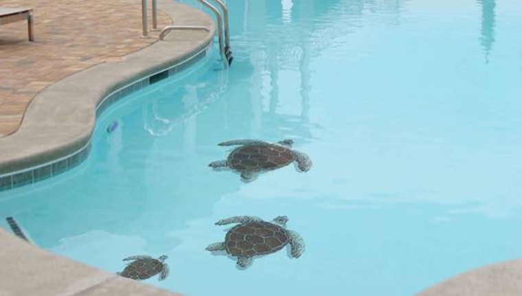 Sea turtle mosaic artwork for swimming pools
