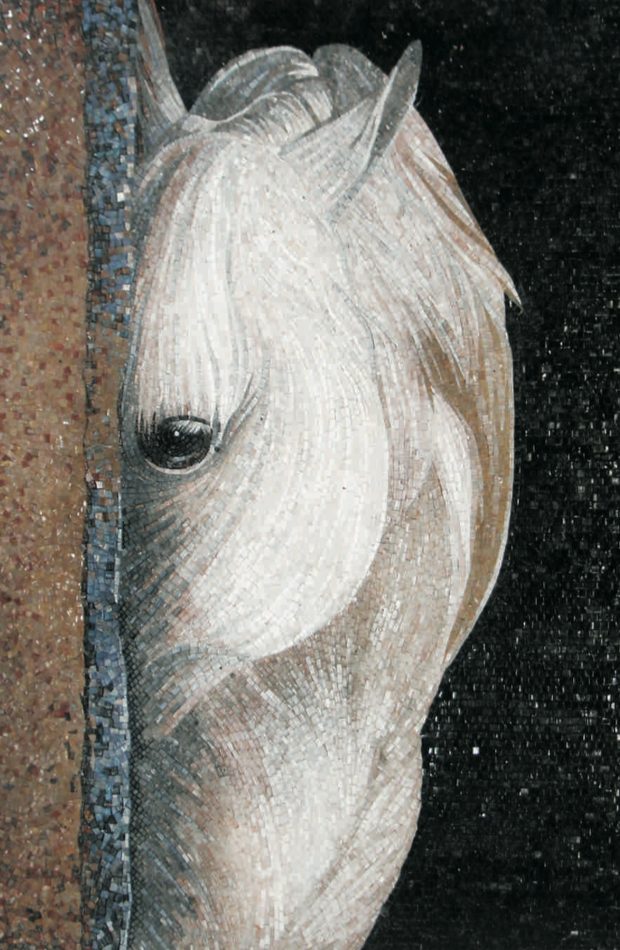 Stunning Horse Mural by Mosaics Lab