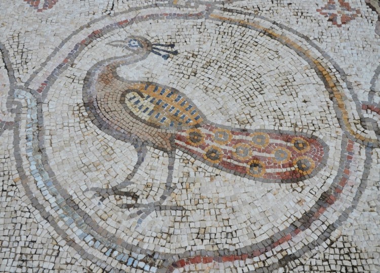 Bird Mosaic Artwork and Designs