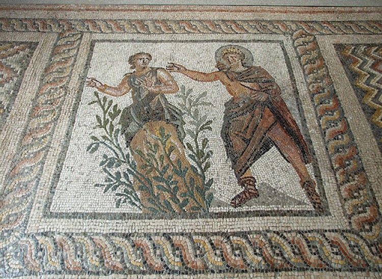 Roman Mosaic Floor Inlay Inspiration