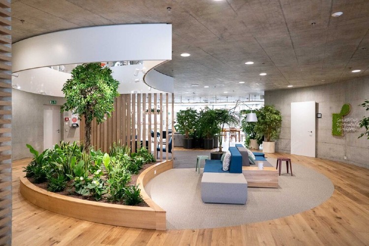Sustainable Interior Design Trends And Designs